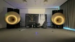 Acapella Audio Arts Speakers - The Hypersphere Ultimate Horn Speaker System - 9mln $ ‼️‼️‼️