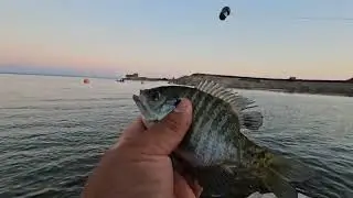 Pesca de crappi y mojarra