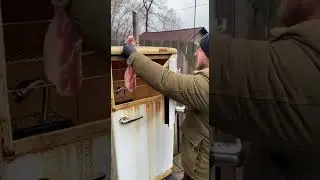Старый холодильник в деле