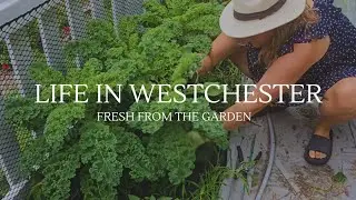 Garden-to-Table Kale Salad  | Slow Living