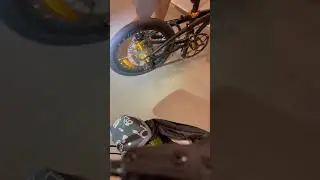 Camp Gold Luce wheel set sound