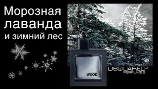 DSquared2 Silver Wind Wood, Сильвер Вуд и все-все-все