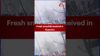 #Kashmir #freshsnowfall #Kupwara #received #dainiksaverakashmir #DainikSavera #latestreels