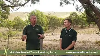 Preventing the spread of Serrated Tussock: VSTWP