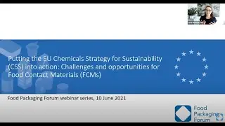 Putting the EU Chemicals Strategy for Sustainability into Action: Looking Forward