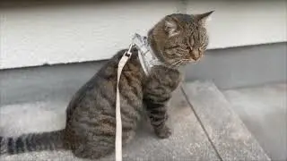 I am overwriting the intruder's traces 20251217