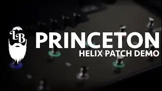 Princeton 10 & 12 - Longbeard Helix Patch Demo