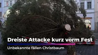Dreiste Attacke kurz vorm Fest - Unbekannte f&auml;llen Christbaum