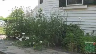 103 Broad Street - Rehoboth MA