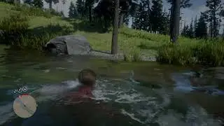 How To Avoid a Bear Attack in RDR2
