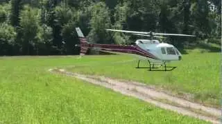 Rc Heli T-Rex 600 Ecureuil