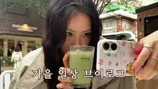 첫눈 오고 나서야 올리는 짧은 가을 브이로그