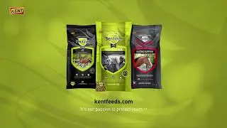 Технология gutWise&trade;️ от Kent Sentinel&reg;️