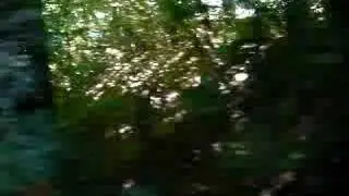 Wolfschlucht - Lerchenstrasse
