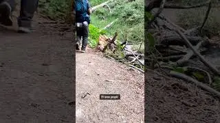 A Soulful Solo Hike into the Heart of Nature!