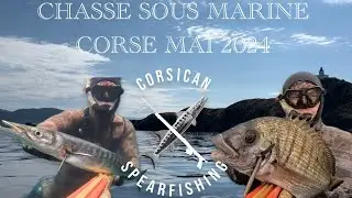 CHASSE SOUS MARINE MAI 2024