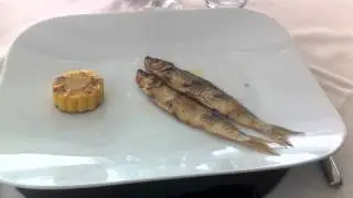 Missoltini