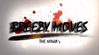 BREEZY MOVES (The Ninja's)