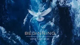 Beginning | Official Cinematic Ambient Music Video by Vineta Cook