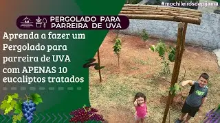 Aprenda a fazer um PERGOLADO para Parreira de UVA com APENAS 10 Eucaliptos Tratados! 🍇🪓🛠️