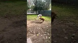 Monique and Jackson 2