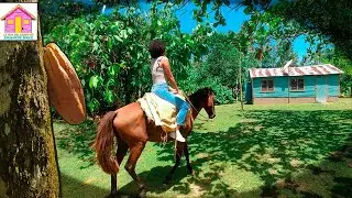 LA VIDA DEL CAMPO EN NAGUA  REPUBLICA DOMINICANA 2