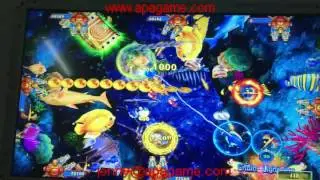tiger strike plus king of tiger lion strike fishing game machine casino slot machine