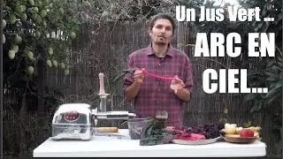 Un jus vert ...arc en ciel ou presque ! TI2016 J8 - www.regenere.org