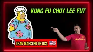 HATERS del kung fu choy lee fut N&ordm;1