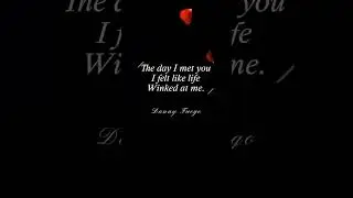 Love and Fortune