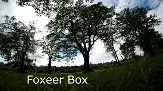 Foxeer Box vs. Runcam 3 vs. GoPro Session 4
