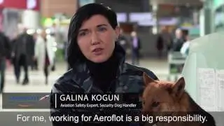 Aeroflot 94 Anniversary