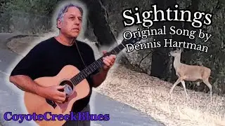 Sightings &mdash; оригинальная песня Денниса Хартмана [ Официальный клип ] #автор-исполнитель #оригинал...