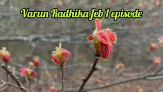 വരുണിനോട് രാധിക ആ ആഗ്രഹം പറയുമ്പോൾ,പിടിക്കപ്പെടുമോന്ന് ഭയന്ന് പ്രിയങ്ക #snehapoorvamshyama #promo
