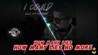How Many Lies - T5madeit ft Baby Yopp (Official Visualizer)