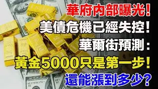 華府內部曝光！美債危機已經失控！華爾街預測：黃金5000只是第一步！還能漲到多少？ 【跨境財道】#美金 #黄金 #黄金投资 #市场