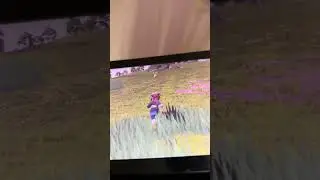 Having a Pok&eacute;mon battle in Pok&eacute;mon arceus game play walkthrough