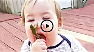 Funny Baby Videos Try Not to Laugh Compilation |Loves Funny Babies_cute baby