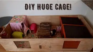DIY GUINEA PIG CAGE TOUR!
