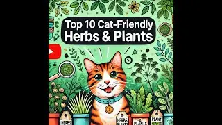 Top 10 Cat-Friendly Herbs and Plants