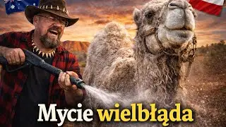 Mycie chorego Wielbłąda i podanie Q-drench 