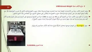 الخطوة الرابعة للعمل بالمطاحن