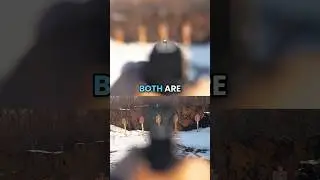 What&rsquo;s Better? Iron Sights Or Red Dots?