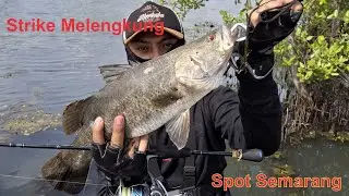 Strike Baramundi | Spot Pantai Maron | Bandara Semarang