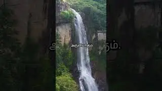 Tamil Nadu's Tallest Waterfall&ndash;Thalaiyar Falls! | Thalaiyar Falls