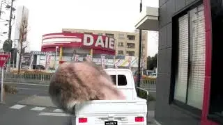 マクドナルド大森インター南ドライブスルーに入るハムスター　マーク・ティ　Mark.T