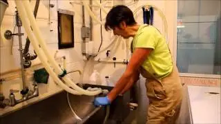 In the Parlor with Gianaclis Part III: Clean up
