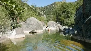 Magico Pavone - Toscana - Eraldo Meraldi