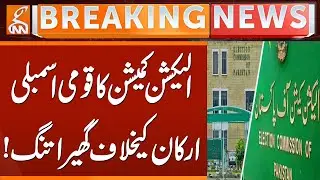 Election Commission Targets MNAs! Shocking Political Twist | Breaking News | GNN