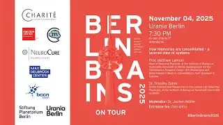 Berlin Science Week & Berlin Brains: How Memories are Consolidated &ndash; A Layered View of Systems